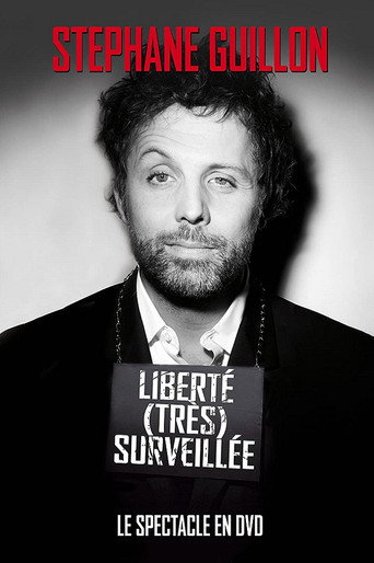 Regarder Stéphane Guillon - Liberté très surveillée en streaming complet