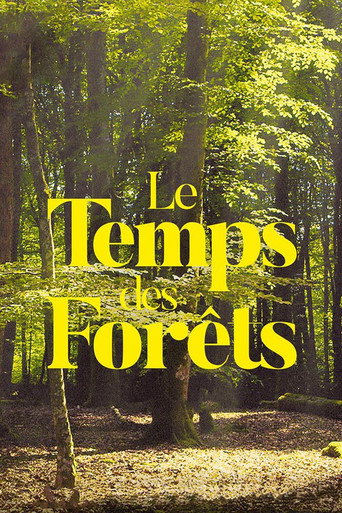 Regarder Le Temps des forêts en streaming complet