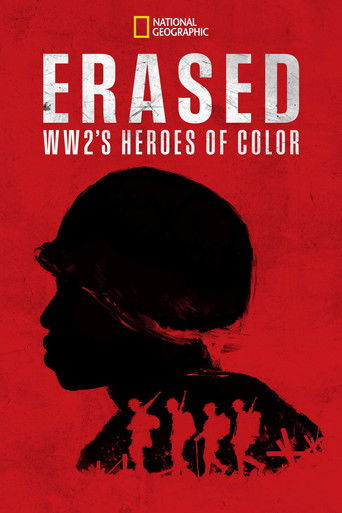 Regarder Erased: WW2's Heroes of Color en streaming complet
