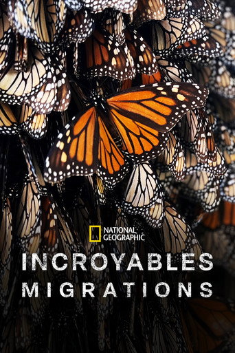 Regarder Incroyables migrations en streaming complet