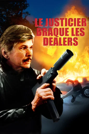 Regarder Le justicier braque les dealers en streaming complet