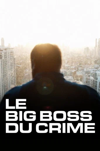 Regarder Le big boss du crime en streaming complet