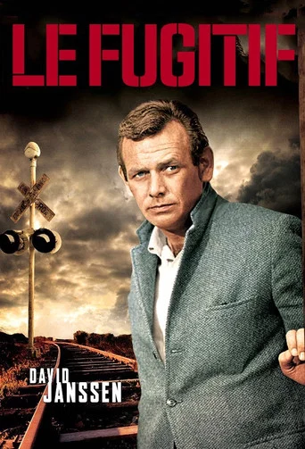Regarder Le Fugitif en streaming complet