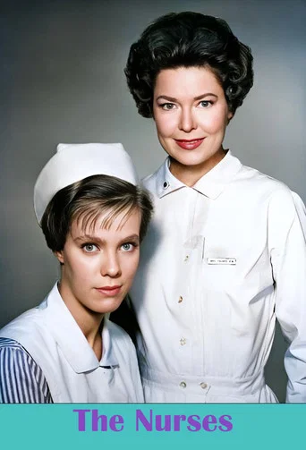Regarder The Nurses en streaming complet
