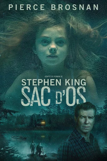 Regarder Sac d'os en streaming complet