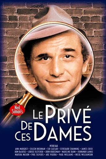 Regarder Le Privé de ces dames en streaming complet