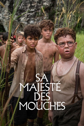 Regarder Sa majesté des mouches en streaming complet