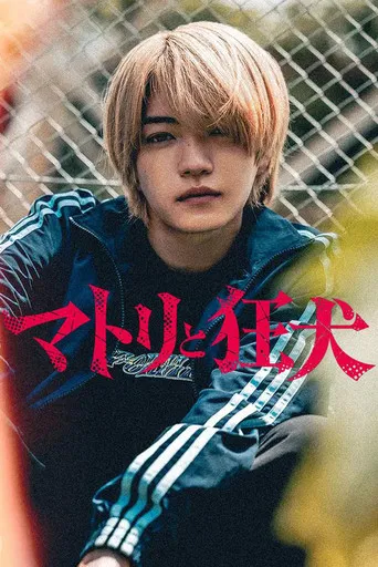 Regarder Matori & Kyoken: Au fond des ruelles obscures en streaming complet